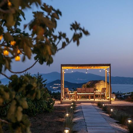 Jannas Apartments Naxos Agkidia Exterior photo
